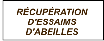 RÉCUPÉRATION D'ESSAIMS D'ABEILLES