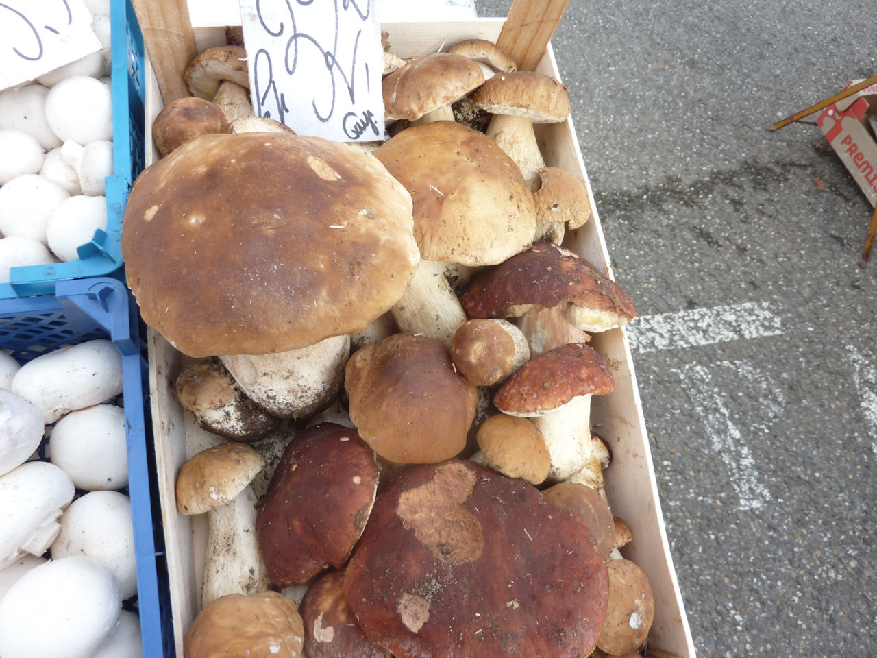 diporama de C.Guilleminault