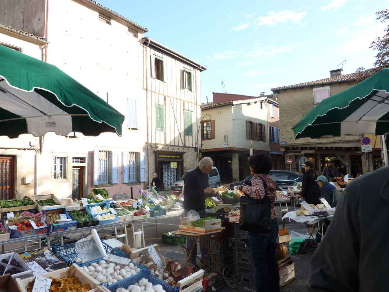 diporama de C.Guilleminault