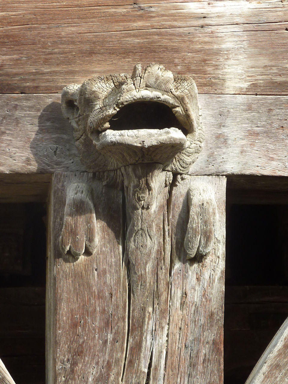 diporama de C.Guilleminault